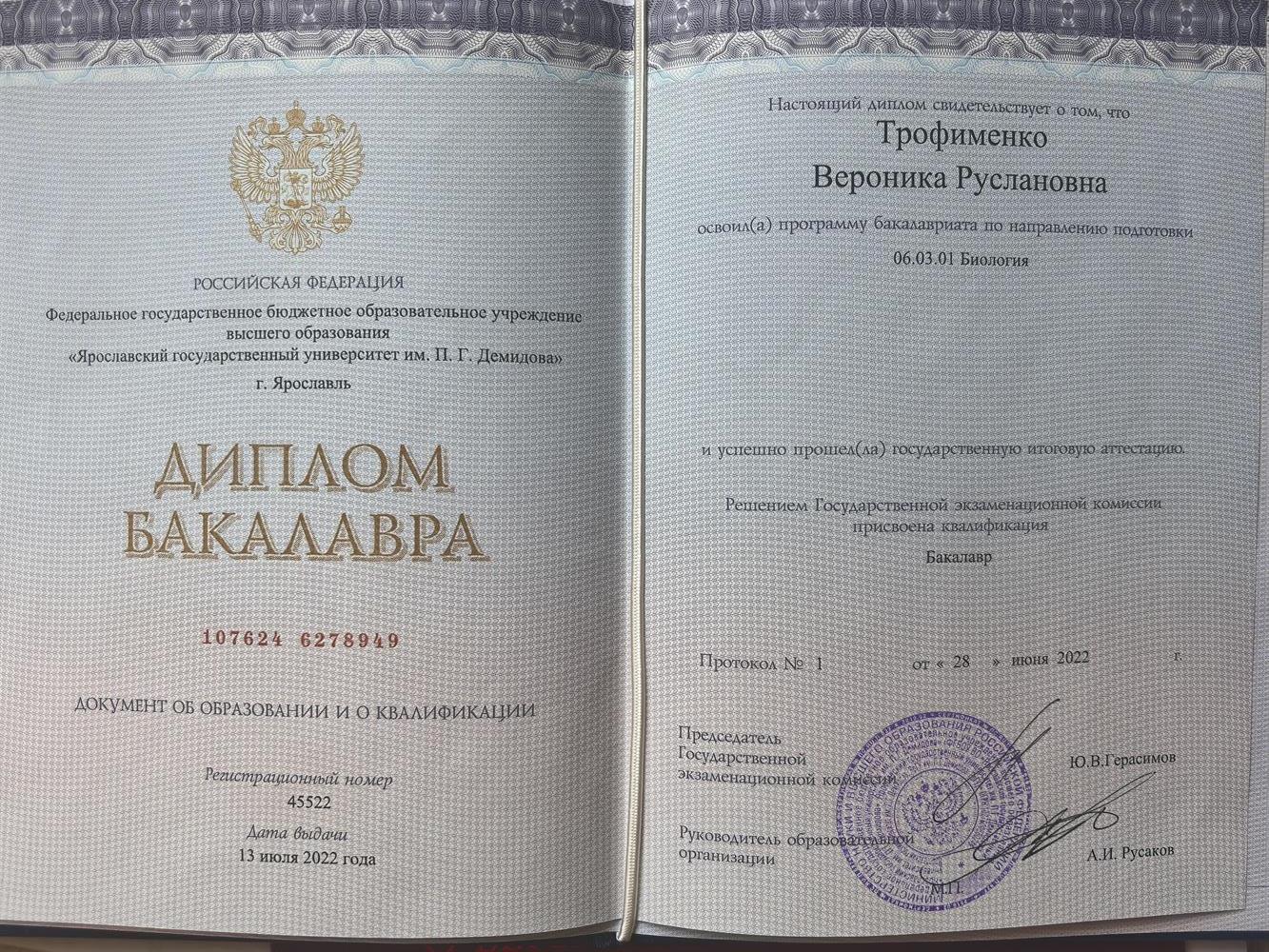 Диплом бакалавра