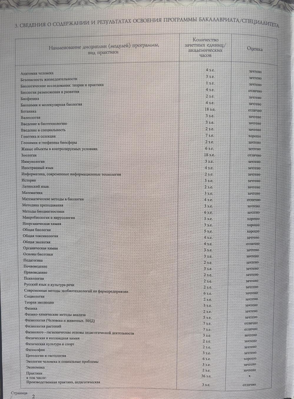 Приложение к диплому бакалавра 2