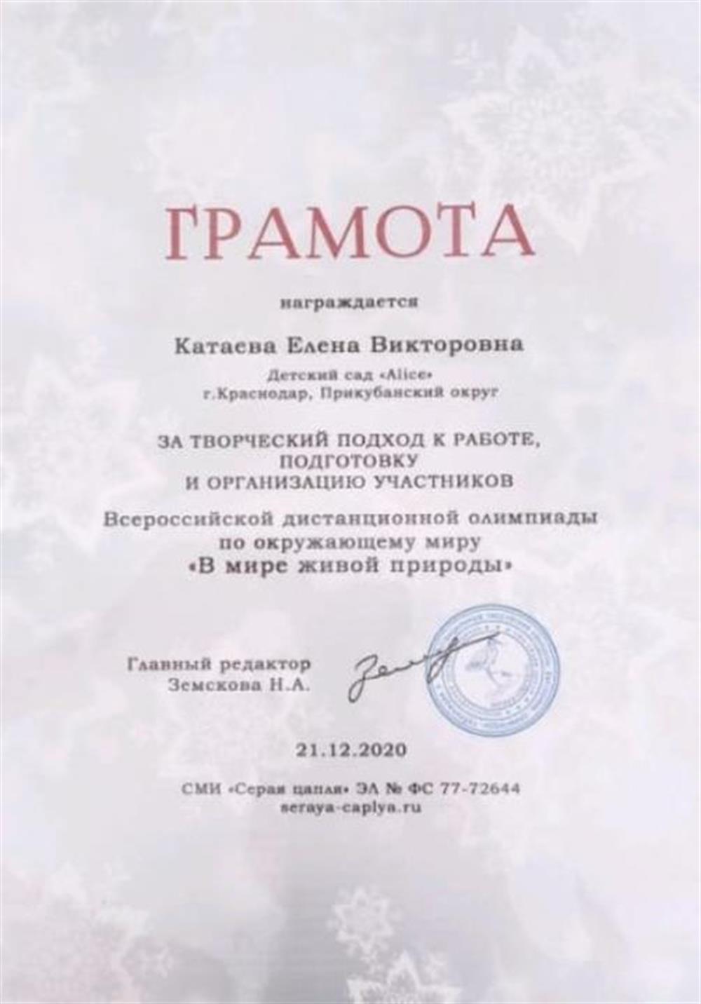 Грамота за творческий подход к к работе и организацию участников к Всероссийской дистанционной олимпиаде.