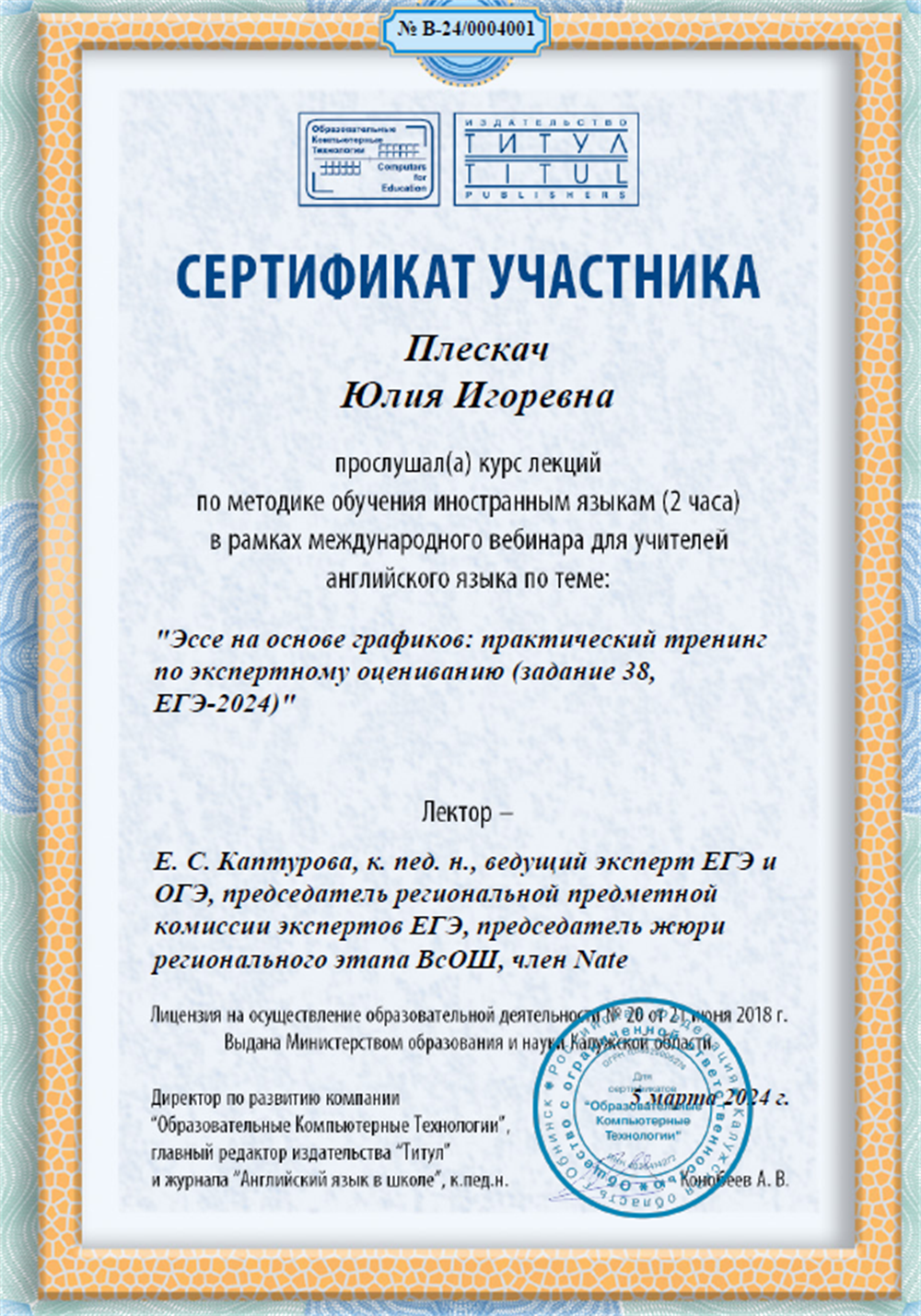 Сертификат. Эссе на основе графиков 2024