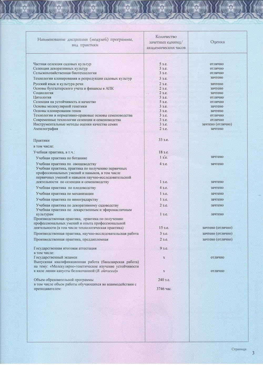 Приложение к диплому