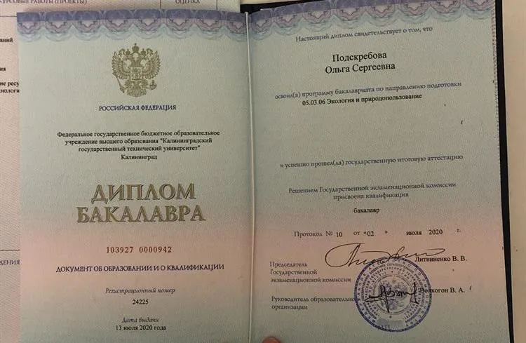 Диплом бакалавра 