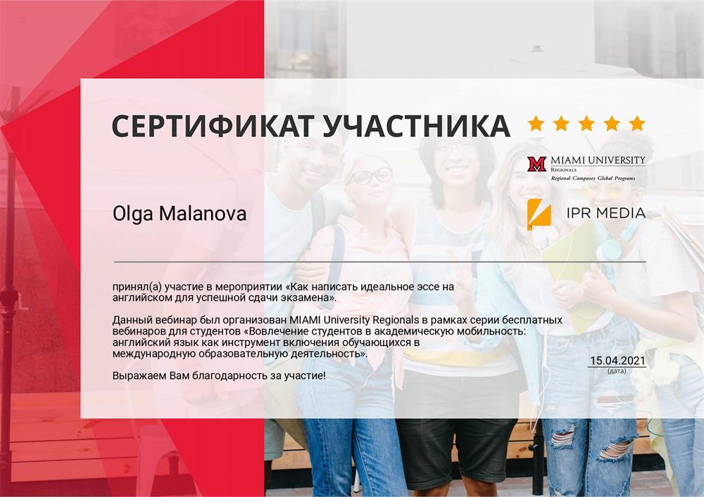 Эксперт по написанию идеального эссе