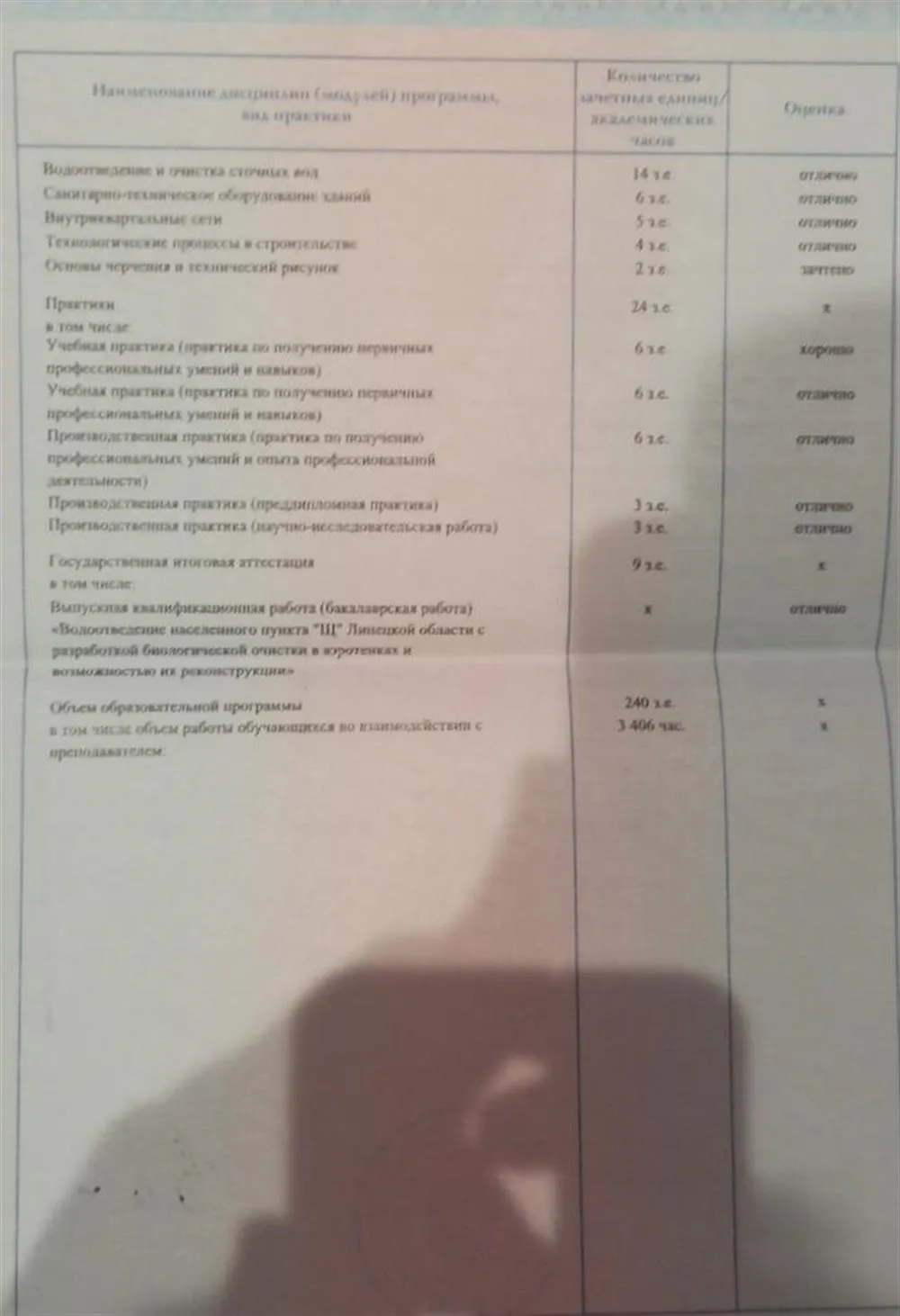Диплом бакалавра