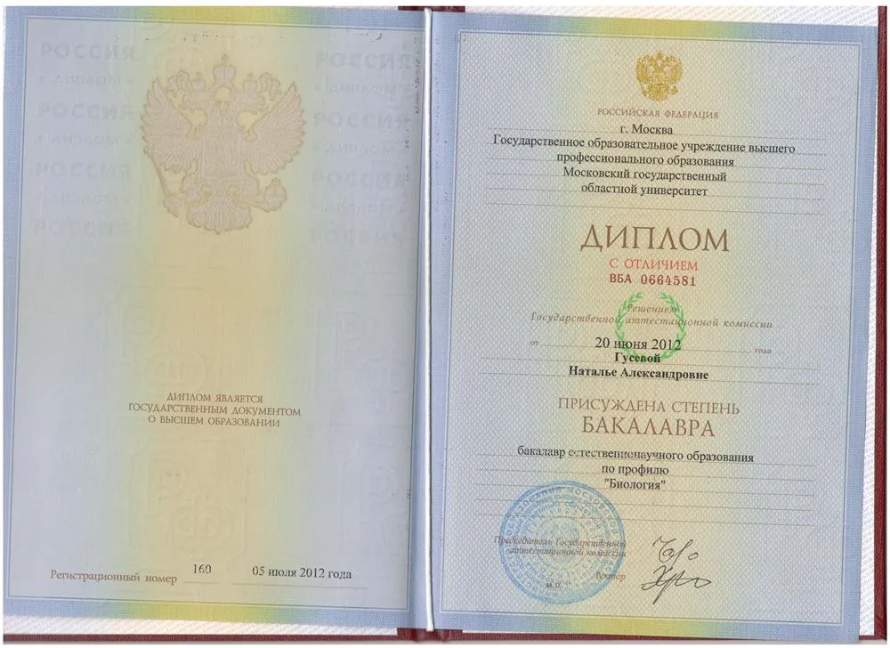 Диплом Бакалавр