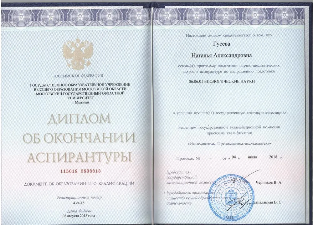 Диплом Аспиратнтура