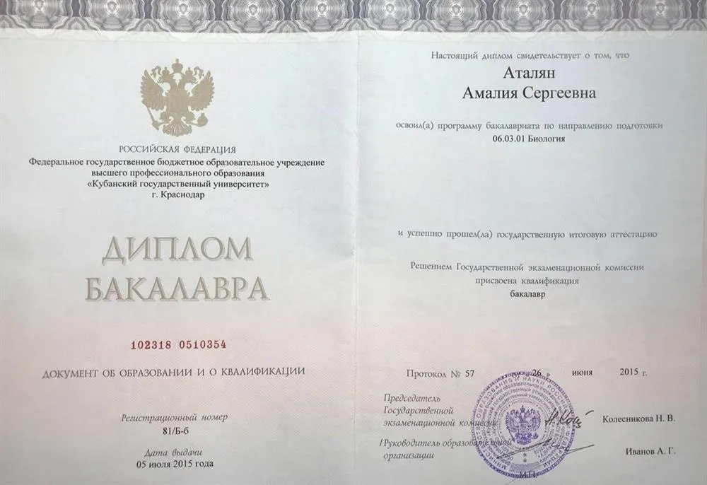 Диплом Бакалавра 