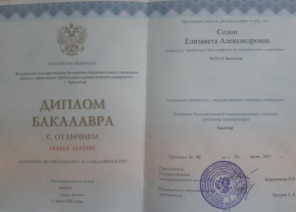 Диплом