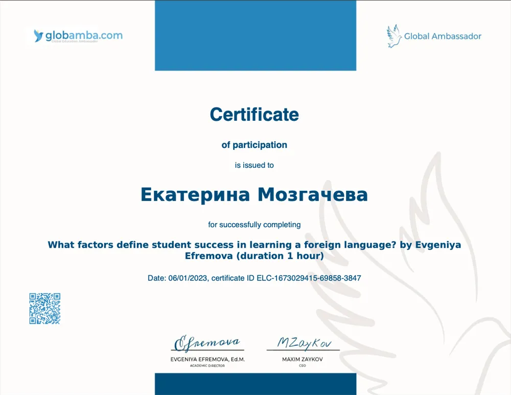 What factors define student success in learning a foreign language?