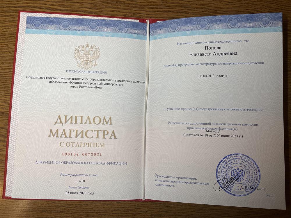 Диплом магистра 