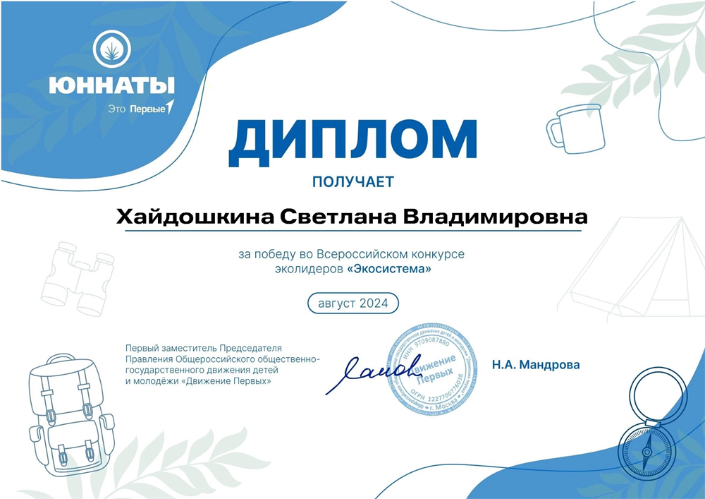 Диплом победителя всероссийского конкурса Наставников 