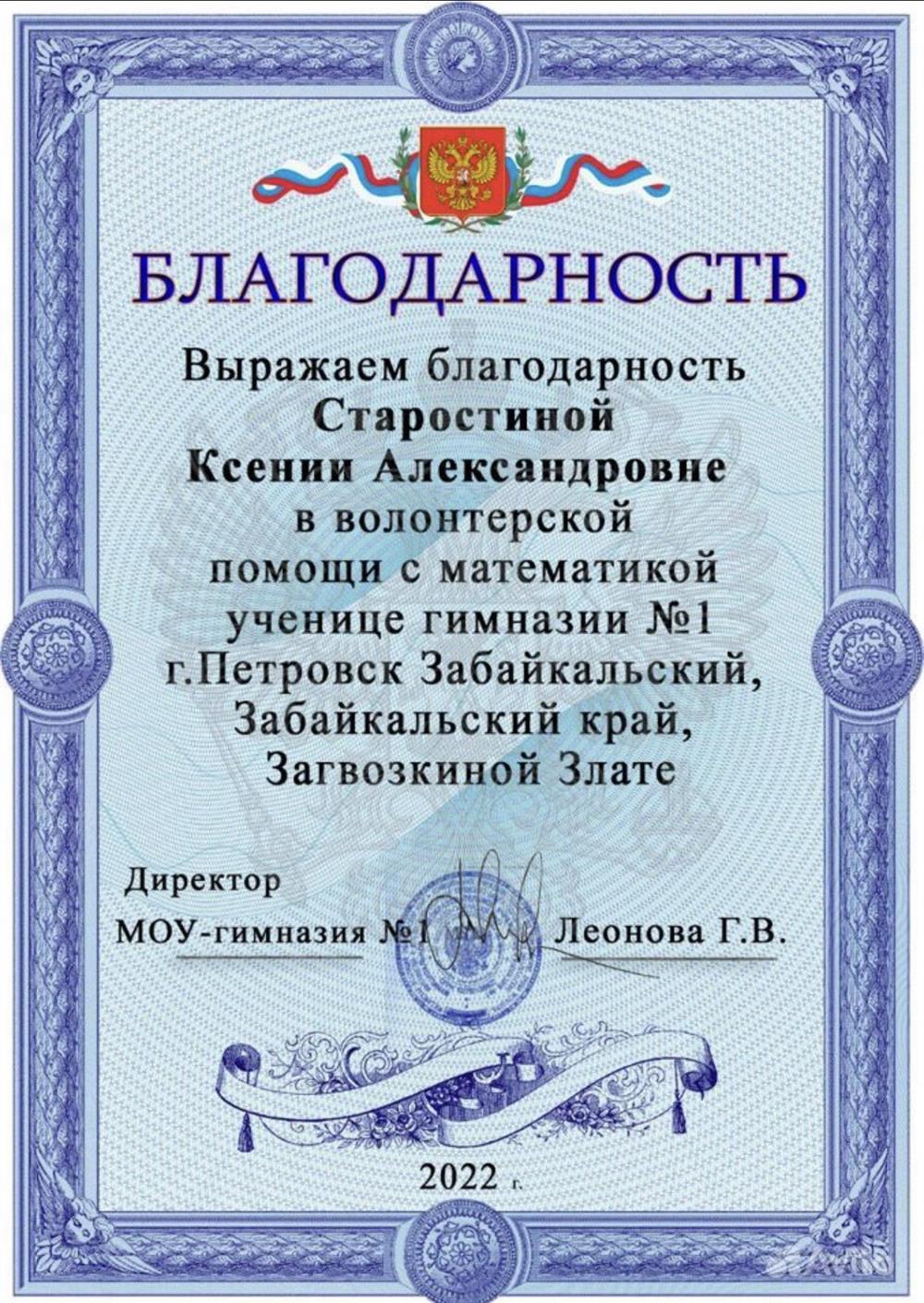Благодарность. Волонтерство