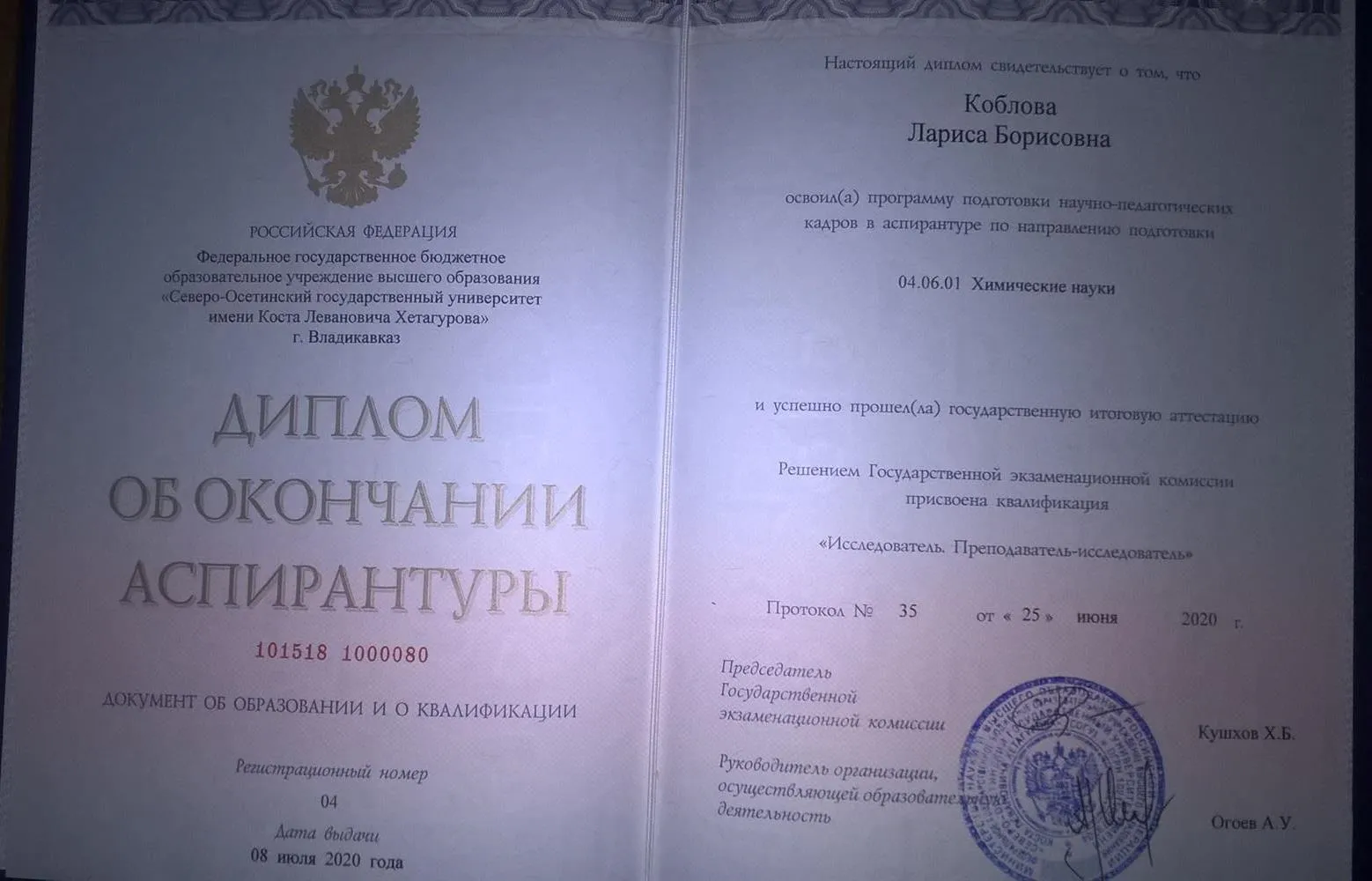 Диплом об окончании аспирантуры (направление подготовки 04.06.01 Химические науки)
