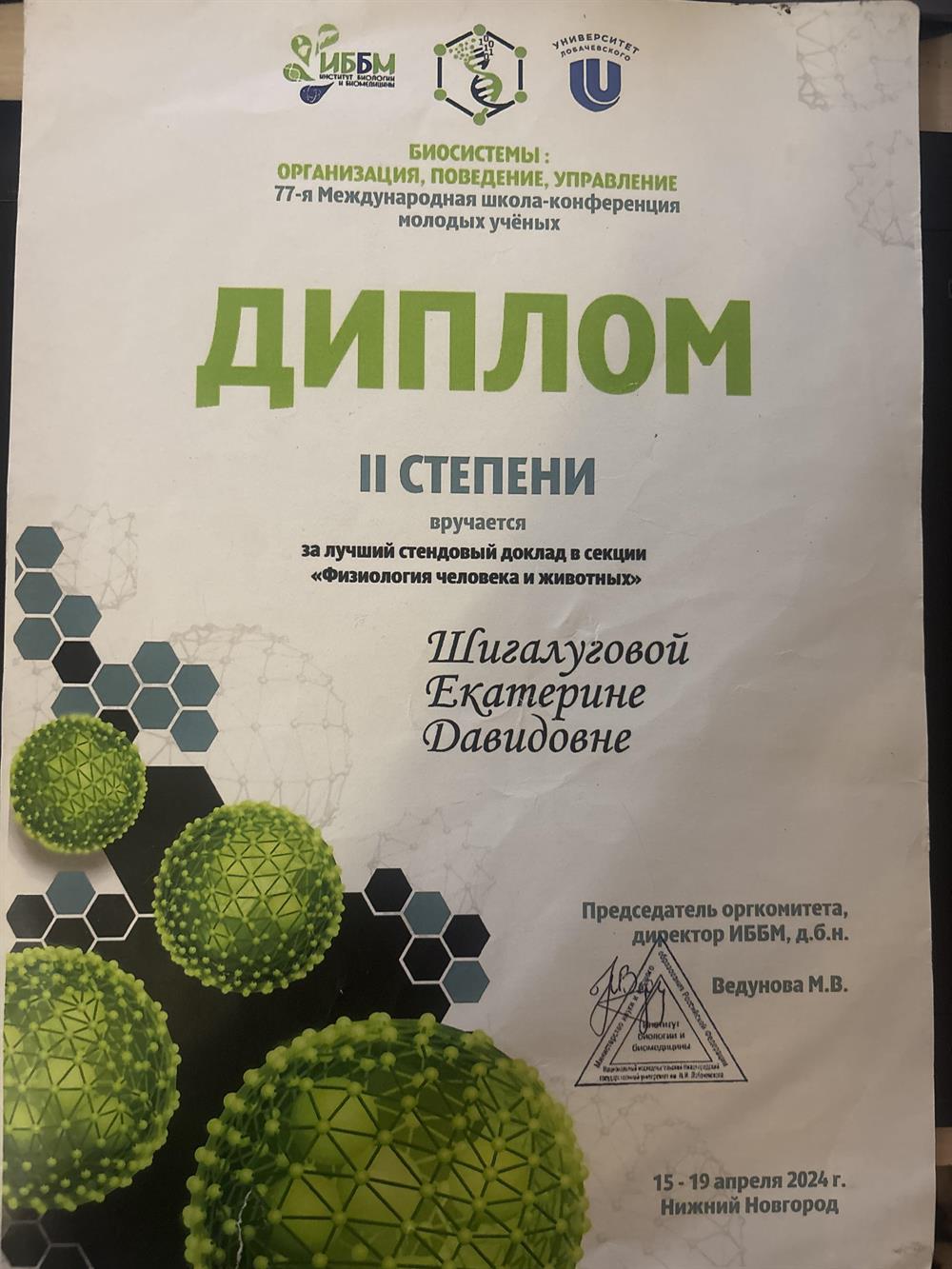 ДИПЛОМ