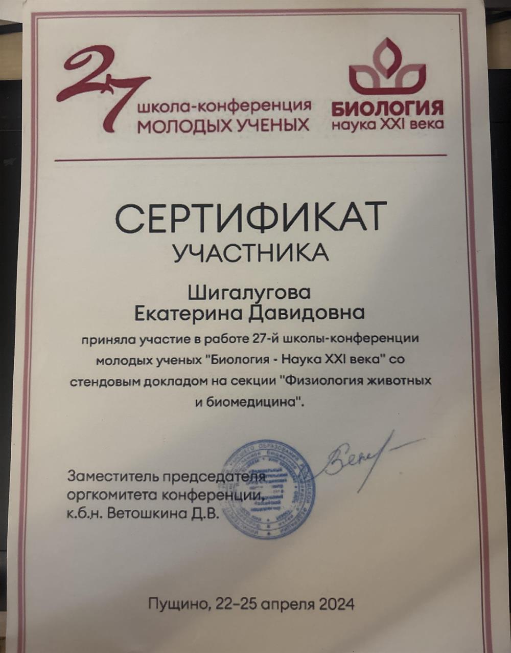 СЕРТИФИКАТ