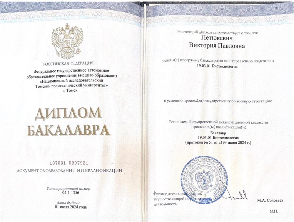Диплом бакалавра