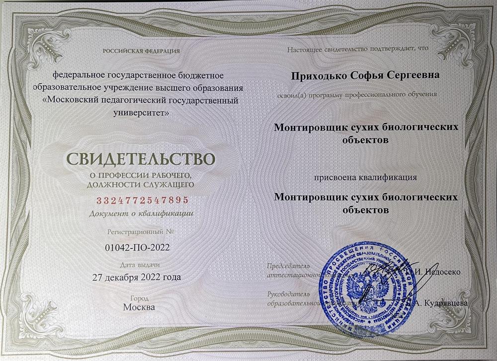 документ о дополнительном образовании: монтировщик сухих биологических объектов 