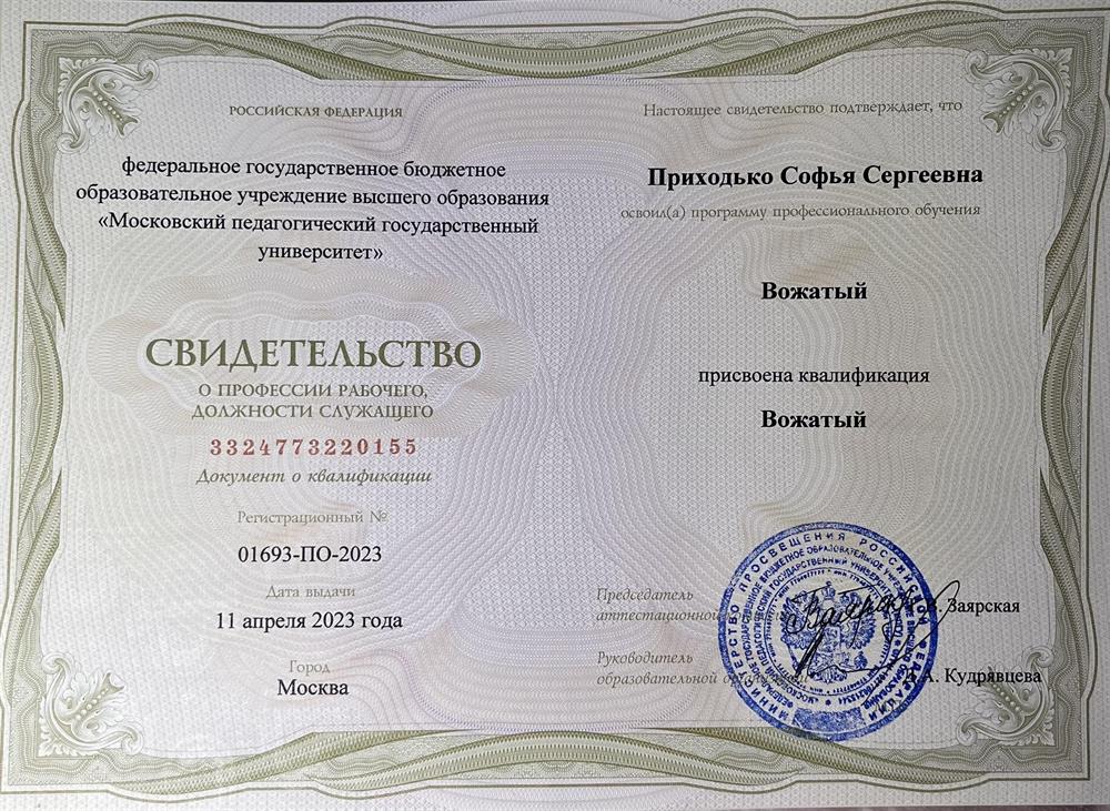 документ о дополнительном образовании: вожатый 