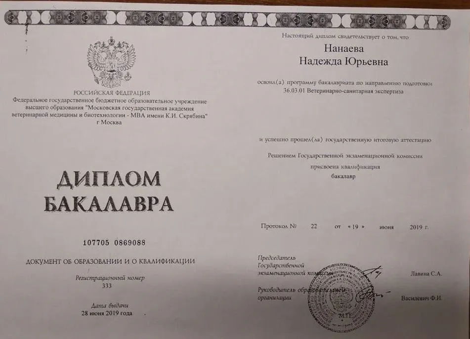 Диплом Бакалавра 