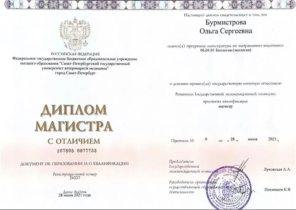 Диплом магистра 