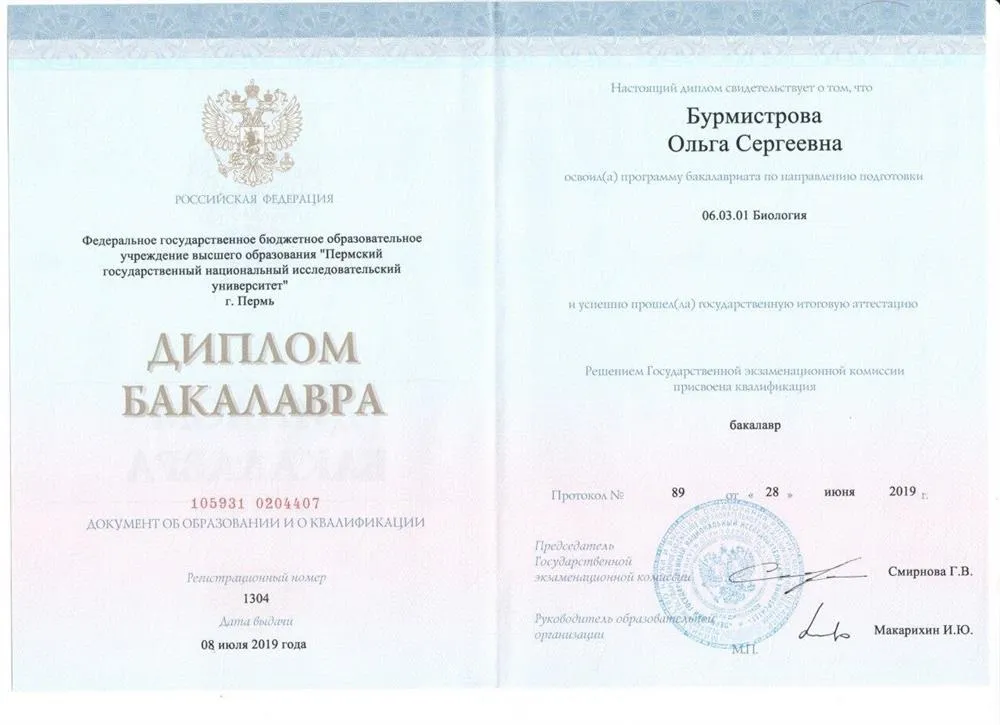 Диплом бакалавра 