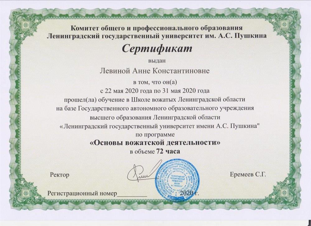 Сертификат. "Основы вожатской деятельности"