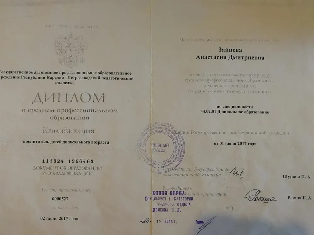 Дошкольное образование