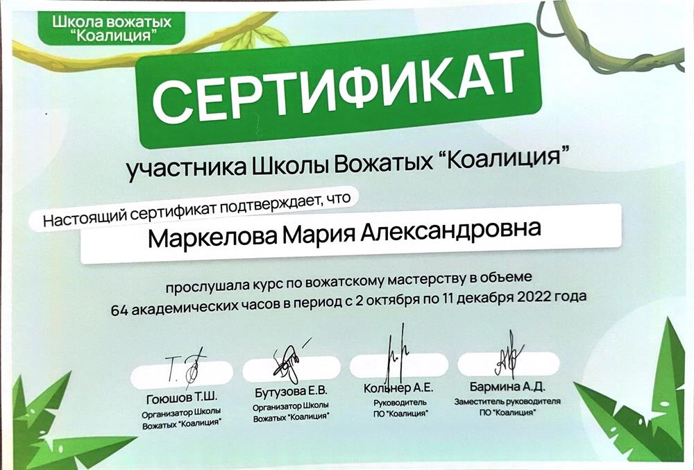 Сертификат школы вожатых «Коалиция»