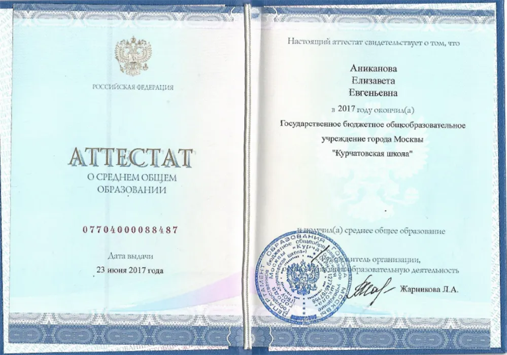 Аттестат об окончании ГБОУ СОШ Курчатовская школа