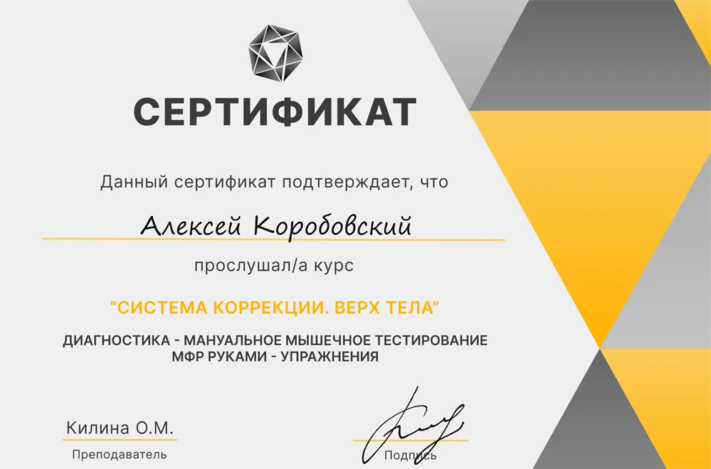 Курс обучения "Система конкреции:верх тела"