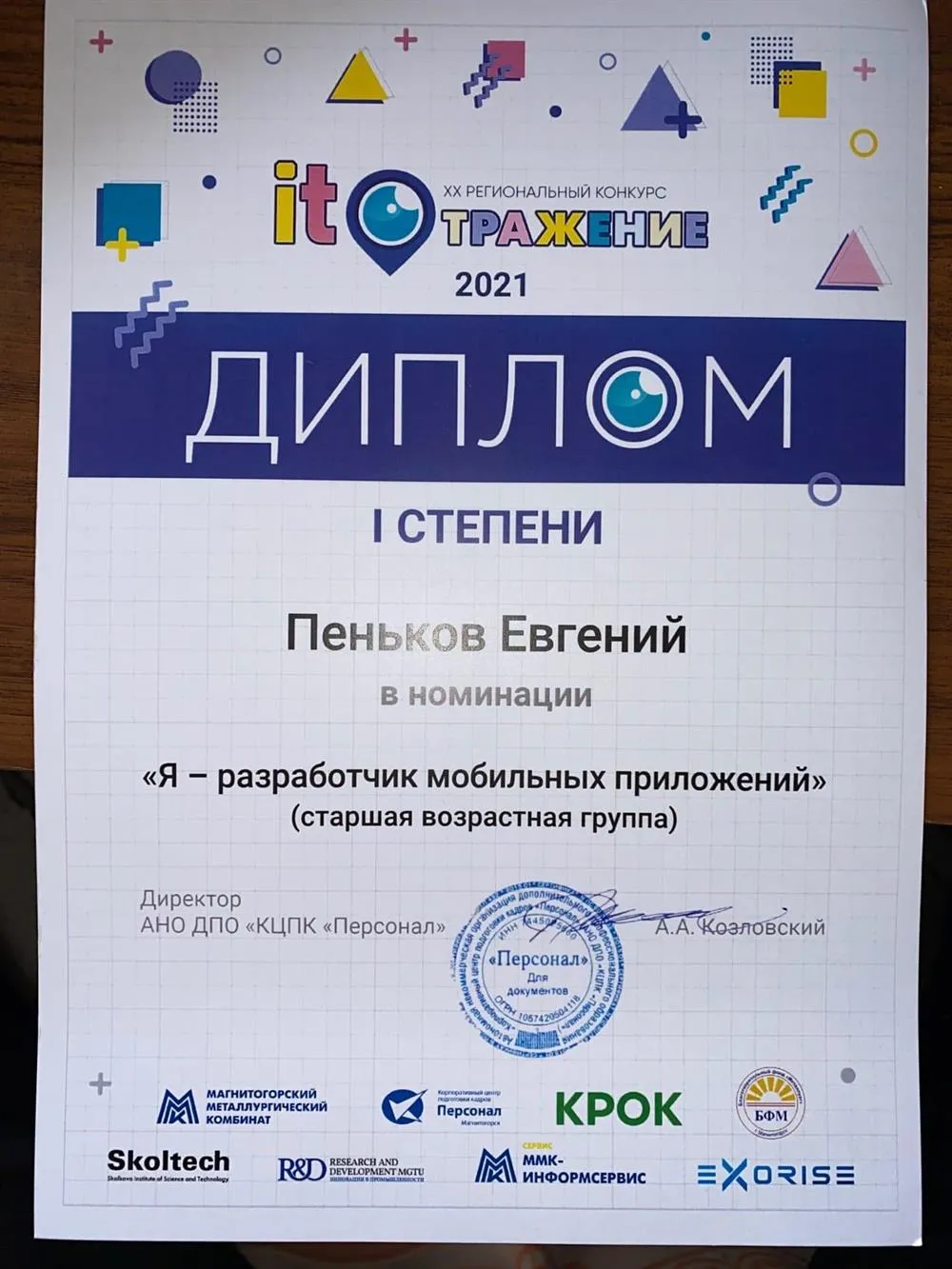 Диплом. IT-отражение