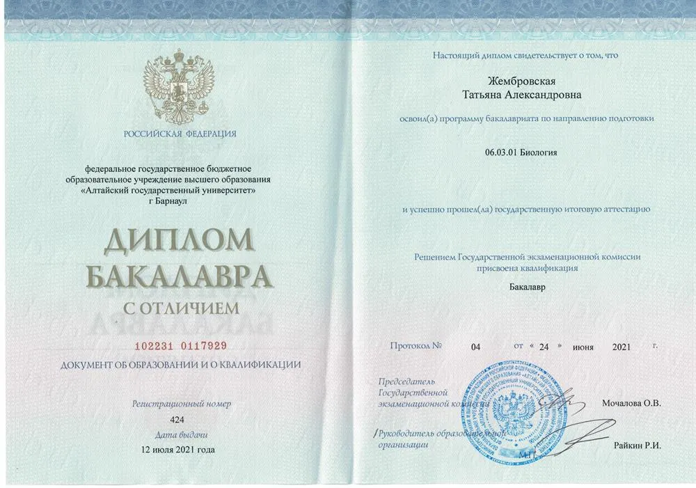 Диплом бакалавра с отличием