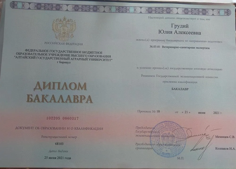Диплом