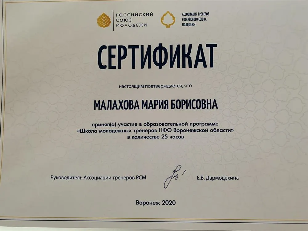 Сертификат участия в программе «Школа молодёжных тренеров неформального образования Воронежской области»