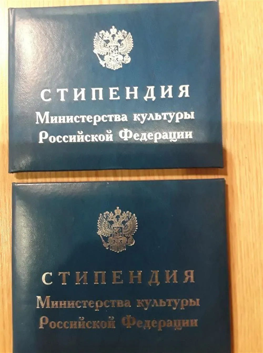 Диплом Министерства Культуры РФ 2001-2002