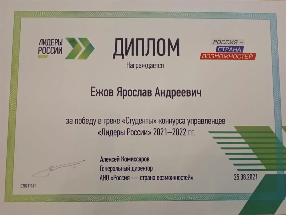 Диплом "Лидеры России"