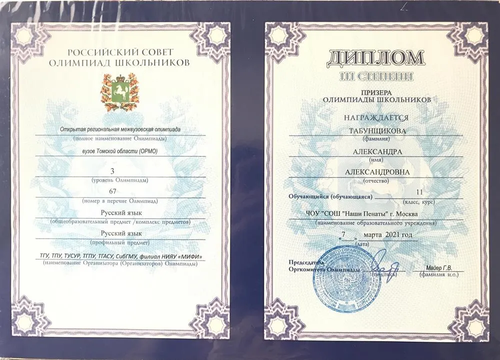 Диплом по русскому 
