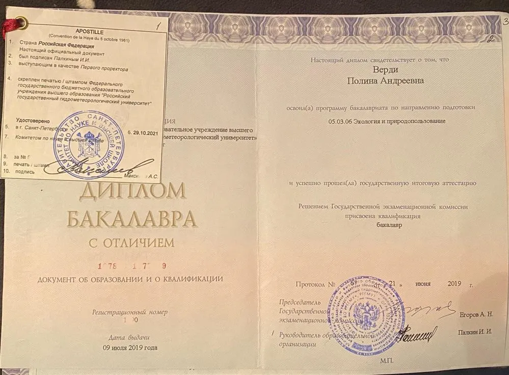 Диплом Бакалавра с отличием