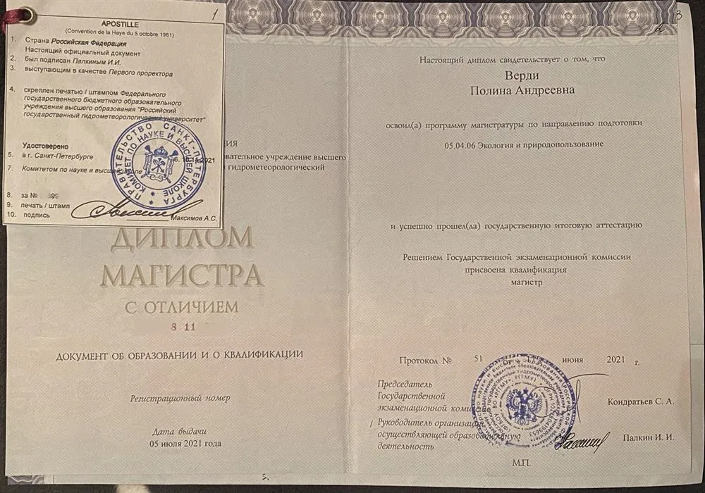 Диплом Магистра с отличием