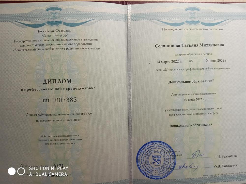 Диплом ЛОИРО