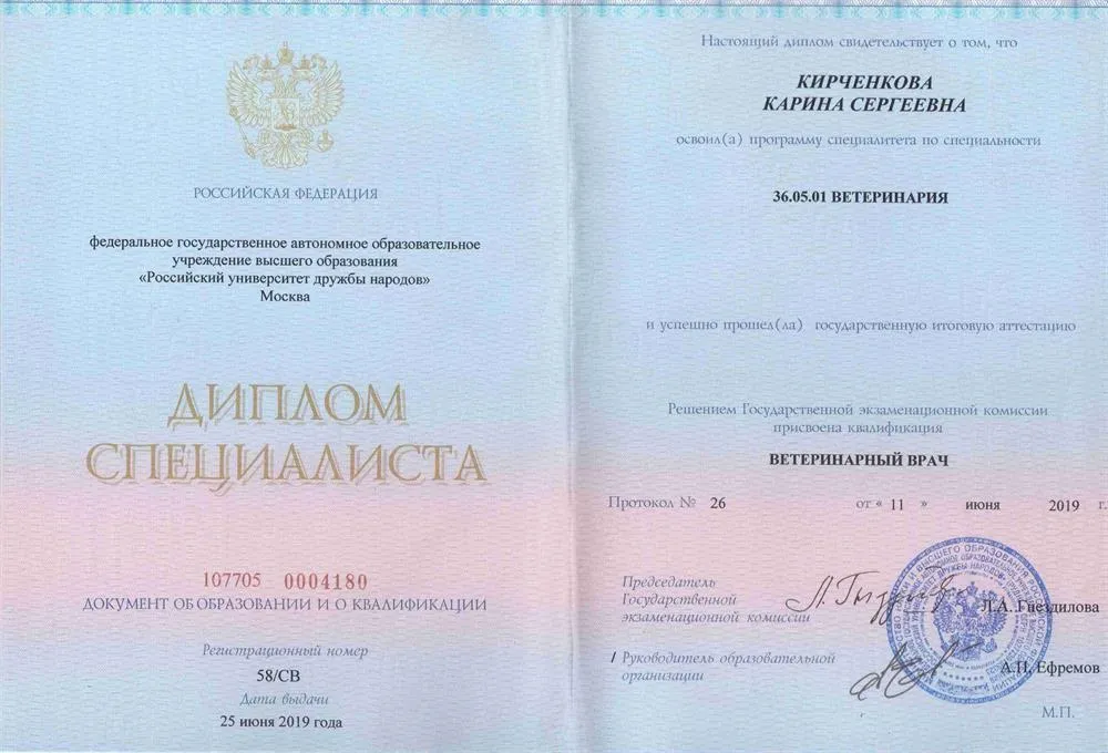 Диплом РУДН
