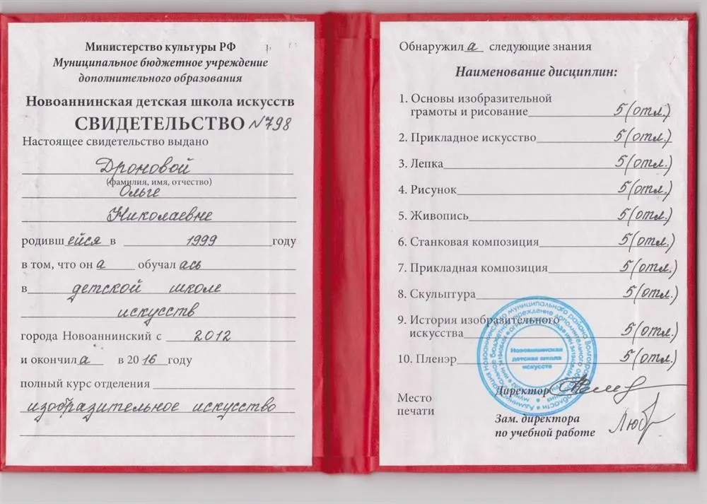 Свидетельство об окончании школы искусств