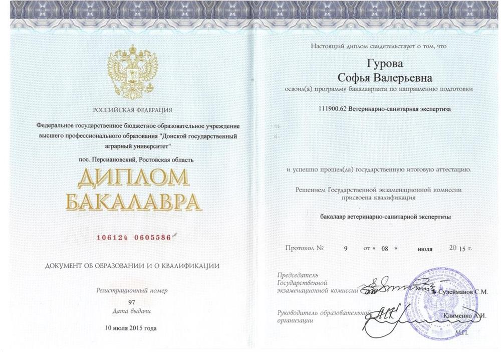 Диплом бакалавра