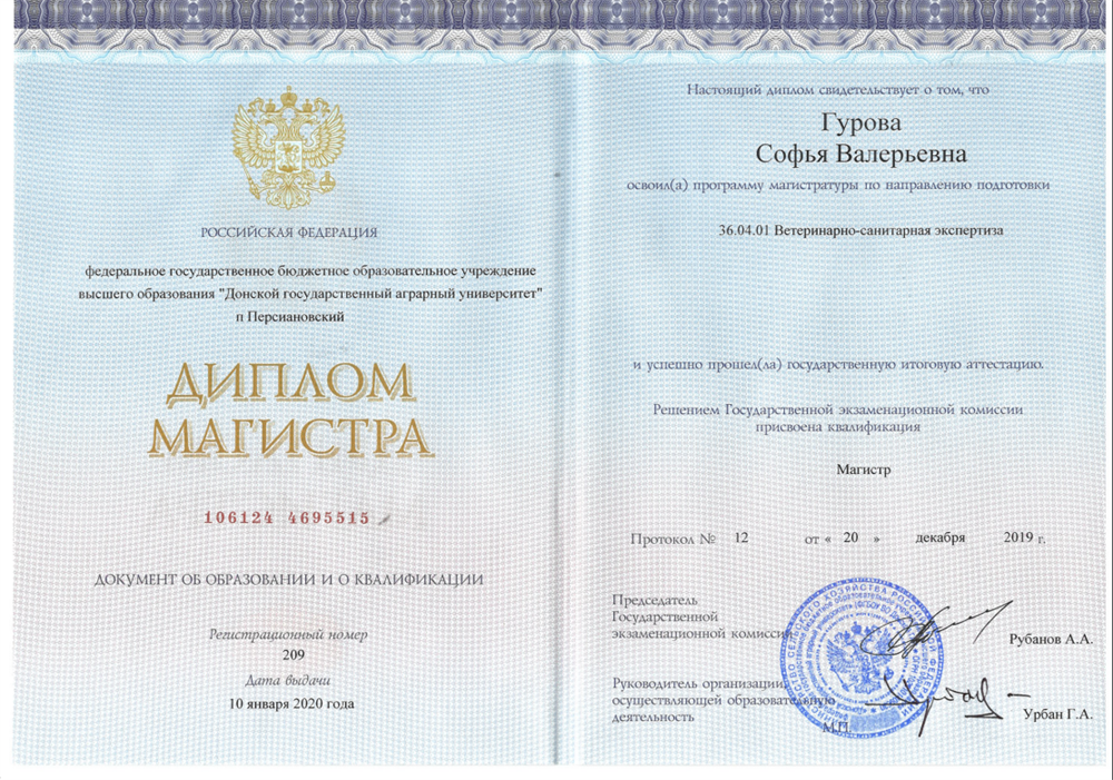 Диплом магистра