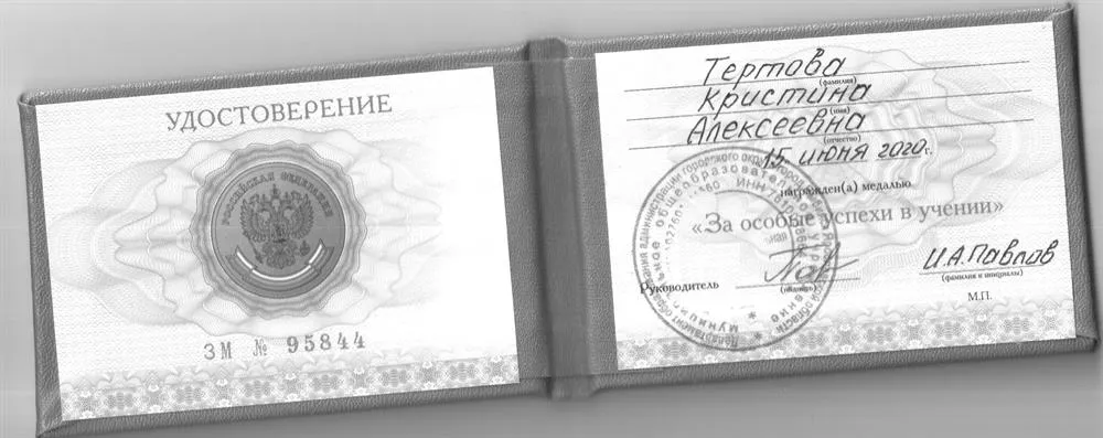 Удостоверение золотой медали