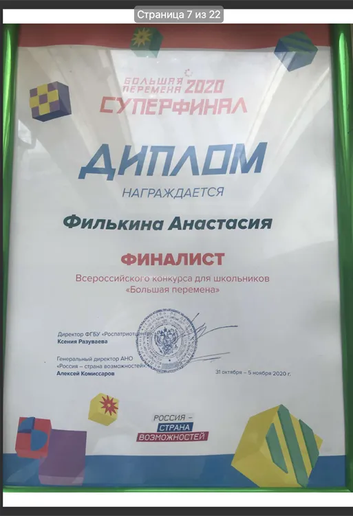 Диплом финалиста конкурса "Большая перемена"