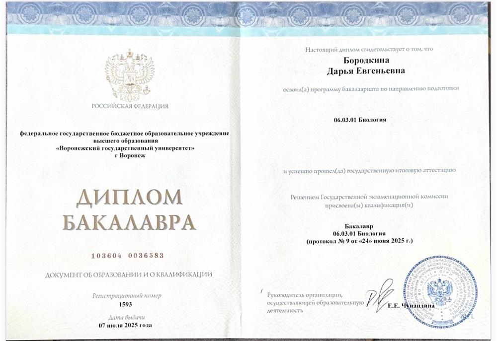 Диплом бакалавра ВГУ, медико-биологический факультет
