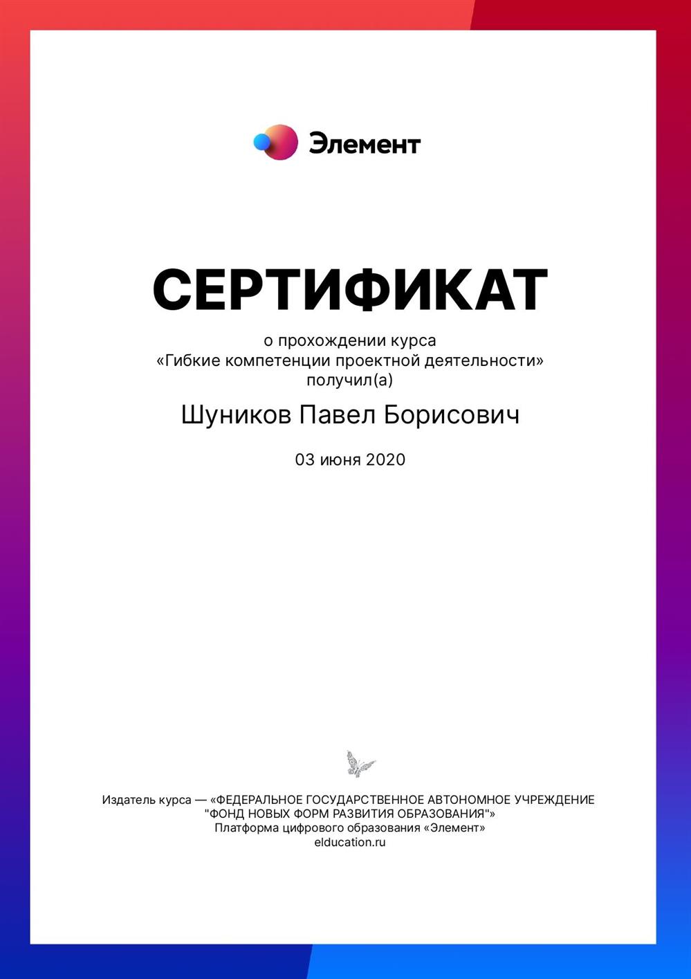 Сертификат о прохождении курса «Гибкие компетенции проектной деятельности»