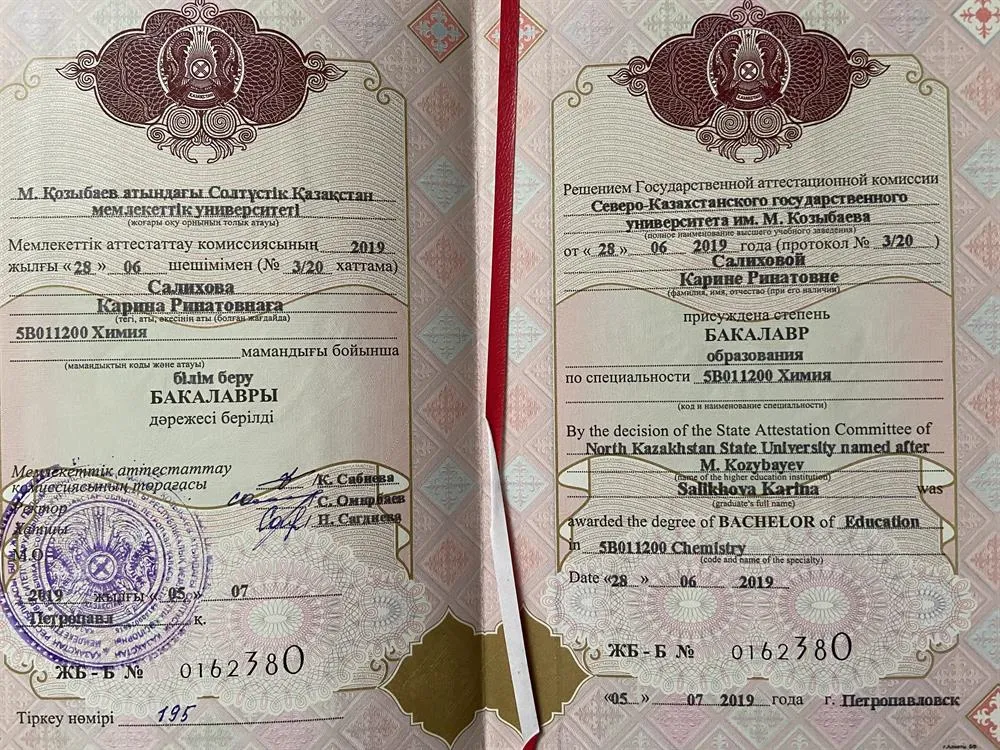 Диплом бакалавриата по специальности «Химия» 