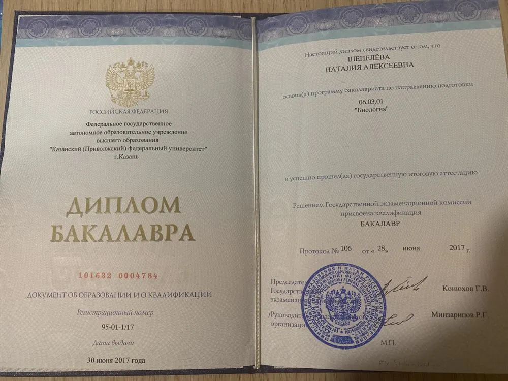 Диплом бакалавра 